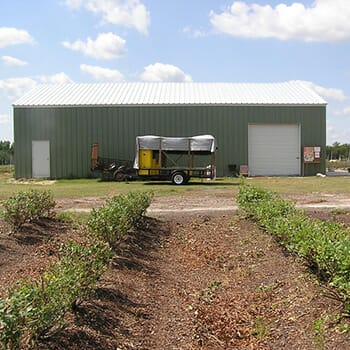 Agricultural steel building. Green building with white roof.
